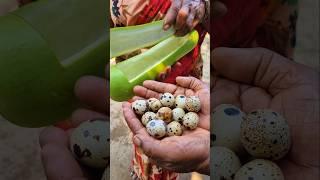 Quail Eggs Boiled in Bottle Gourd #shorts #egg #bottlegourd #quail