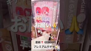1回800円プレミアムガチャ サンリオのお部屋を繋げてアパートに️サンリオ好きさんがコンプリートしたくなるガチャ見つけたよ‎🩵‎ᯤ #ガチャガチャ #ガチャ #ハローキティ #ミニチュア