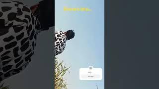 Tu ke le jaan wakalat mein song ...up .. uttar pradesh india world video short