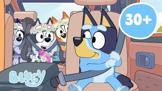 EN VIVO: Aventuras viajeras con Bluey | Bluey