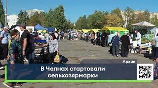 В Челнах стартовали сельхозярмарки