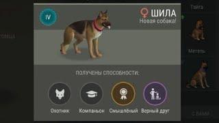 Last Day One Earth Survival #20 Выбил собаку с навыком "Верный друг" 