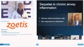 eBEVA Webinar: Celia Marr - Lower Respiratory tract disease in adult horses