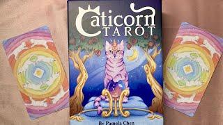 Новинка от U.S.Games 2024 ”Caticorn Tarot”  Распаковка и обзор колоды Таро.