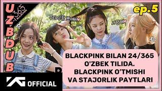 BLACKPINK bilan 24/365 ep.5 o'zbek tilida [uzb dub] Mavzu: Blackpink o’tmishi va stajorlik paytlari.