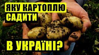  10 кращих сортів картоплі для вирощування в Україні