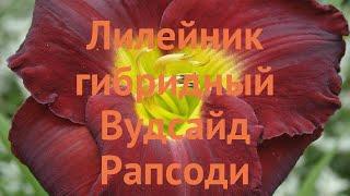 Лилейник гибридный Вудсайд Рапсоди  обзор: как сажать, саженцы лилейника Вудсайд Рапсоди