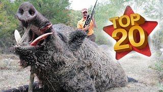 TOP 20 INCREDIBLE WILDBOAR HUNTS- DESTRUCTIVE Blow- PERFECT SCENES- HOG HUNTS- PIG HUNTER