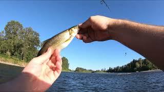 fishing witeley landing eugene oregon