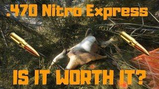 The Hunter: Call Of The Wild .470 Nitro Express Review!