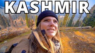 Trekking in Kashmir's AMAZING hidden gem (Doodhpathri - The Valley of Milk)