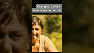 Стая ДИКИХ собак преследует туристов #shorts #фильм #топ #моменты