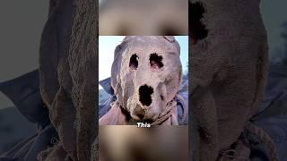 The man dressed as a scarecrow
