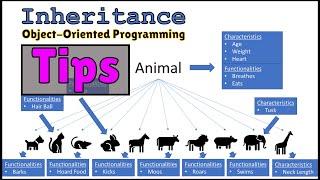 Tips to Consider with Inheritance in Object Oriented Programming