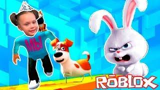 Тайная Жизнь Домашних Животных в РОБЛОКС / roblox obby The Secret Life of Pets