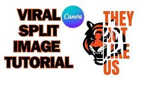 Viral they not like us split image tutorial.