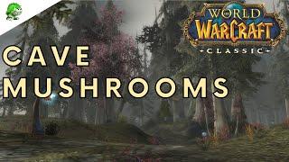 World of Warcraft Classic Cave Mushrooms