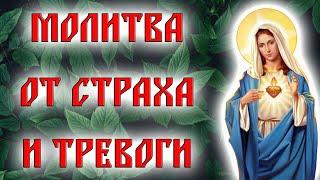 Молитвы от страха и тревоги. Успение пресвятой богородицы. Молитва Господня.