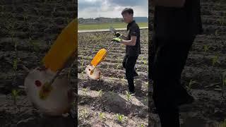 agricultural skills. Artificial hand-pulled plow for digging
