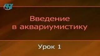 Аквариумистика. Урок 1. История аквариумистики с древнейших времён и до наших дней