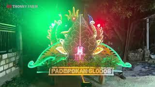 PUENAK BANGET CUAKS!! PADEPOKAN GLODOG | FESTIVAL TONGKLEK RAMADHAN 2024 PLANDIREJO PLUMPANG TUBAN