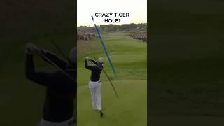 Tiger Woods' INCREDIBLE skill to make birdie! 