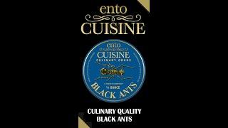 EntoCuisine | Culinary Quality Black Ants | Edible Insects