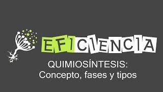 QUIMIOSÍNTESIS. Concepto, Fases y Tipos.