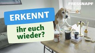 7 typische Situationen, die nur Hundebesitzer kennen!