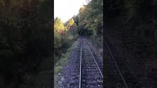 A great day for a train ride.  #springstitchknits #fall #trains #blessed #scenic #feelingblessed