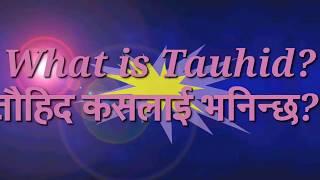 What is the meaning of Tawhid in Islam?  ताैहिद कसलार्इ भनिन्छ ?