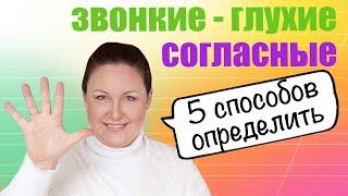 Как определить глухой или звонкий согласный звук? Как объяснить ребенку звонкие и глухие согласные?