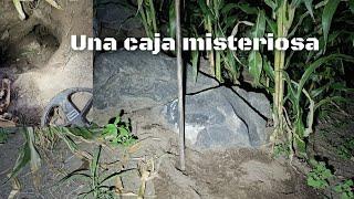 Detectando entre la milpa encontramos CAJA misteriosa