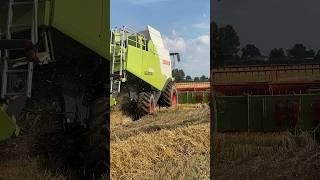  #claas