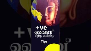 നല്ല കാഴ്ചകൾ #shorts #trending #popular