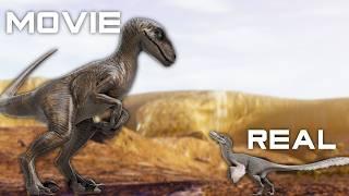 How Accurate Was The Jurassic Park Velociraptor? (COMPARISON SHOWCASE)