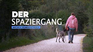 DER SPAZIERGANG - Michls Hundeschule