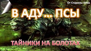 S.T.A.L.K.E.R. В Аду... Псы - Тайники на Болотах