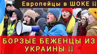 НАГЛЫЕ  БЕЖЕНЦЫ В ЕВРОПЕ ОПОЛЧИЛИ ПРОТИВ СЕБЯ МЕСТНЫХ ЖИТЕЛЕЙ 