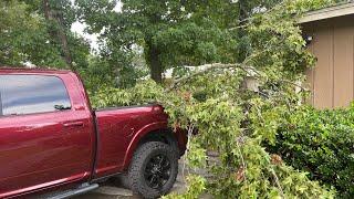 2021 Ram 2500 Cummins VS Tree Limb