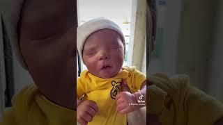 Mailman Delivers A Baby?!  Realistic Reborn Doll Mail Time