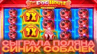 ЗАКРЫЛ ФУЛЛ ЛАЙН БУДОК, СЫГРАЛИ СИНИЕ СОБАКИ! / Бонус В Слоте The Dog House MegaWays / заносы недели