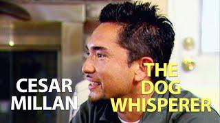 Cesar Millan - The Dog Whisperer