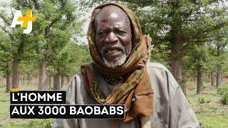 BAOBABS SAUVEURS DE VIES