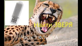 ОП 2.1 Капкан для Зверя. Часть первая. Флешка Зверя  #оп21 #оп22 #сталкер