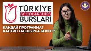 Türkıye Bursları (Turkish Scholarships)