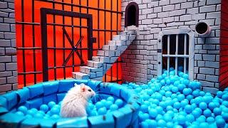 "Hamster Adventure: Conquering the Craziest Maze Ever!"