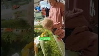 Этномир #этномир #москва #калуга