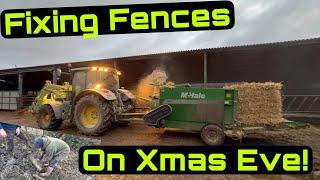 We had to Fix Fences on Christmas Eve! Preparing the Farm!