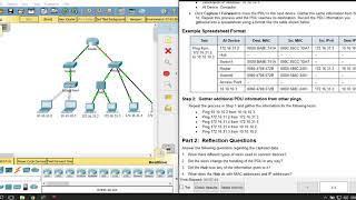 5 3 1 3 Packet Tracer   Identify MAC and IP Addresses